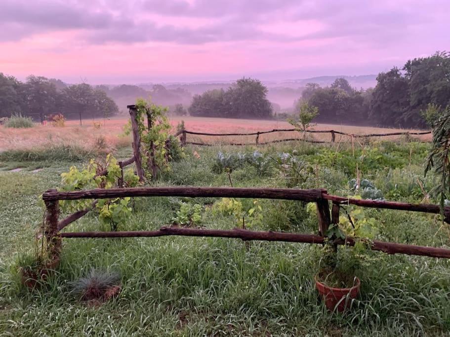 La Roulotte Du Chateau De Framboise Dumes Esterno foto